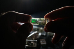 Ingestible bacteria on a chip could help diagnose disease